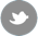 twitter-footer